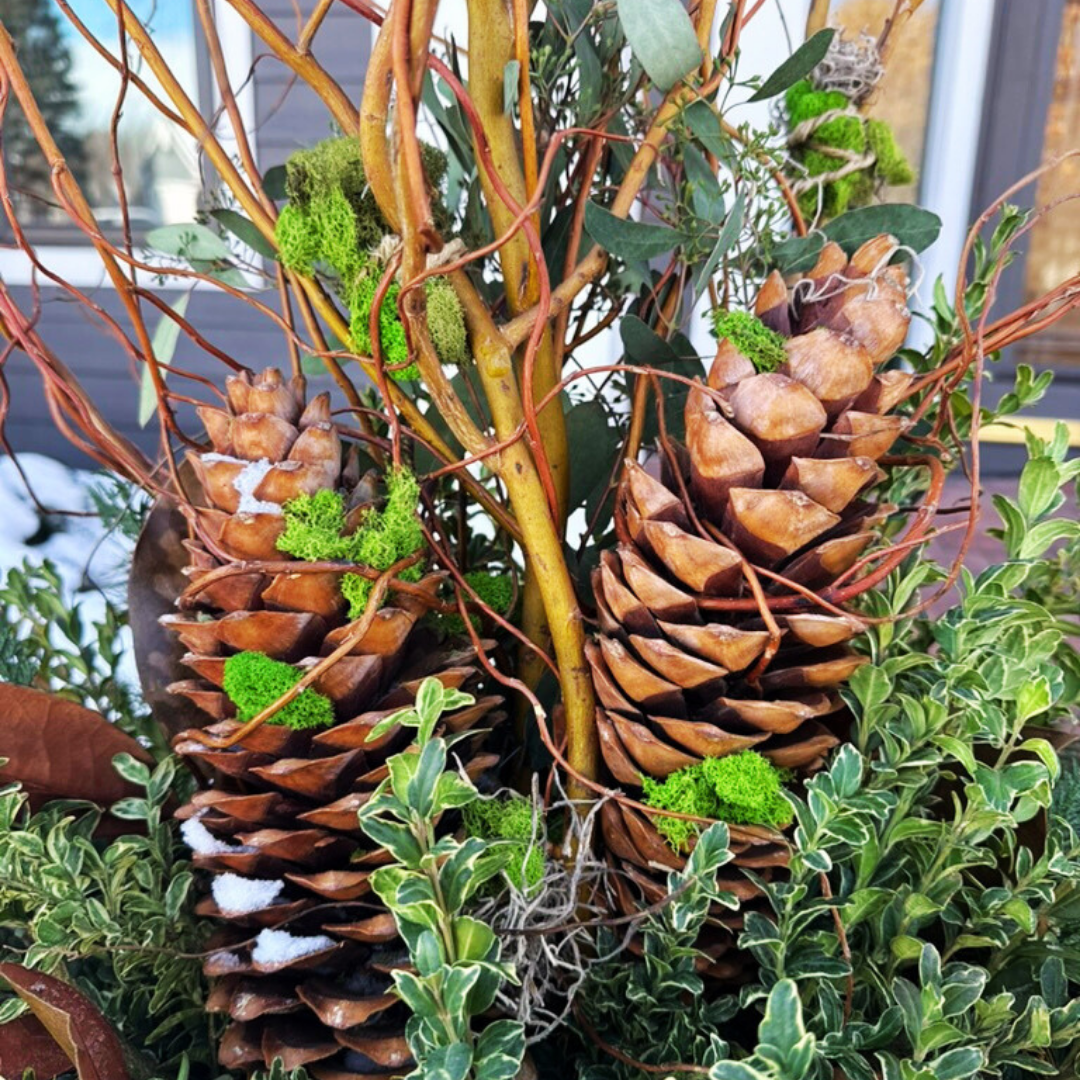 Beauty Between Winter and Spring: 5th Season Designed by biota